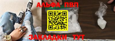 индика Кингисепп