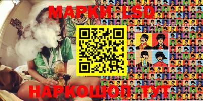 индика Кингисепп