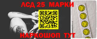индика Кингисепп