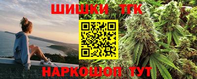 индика Кингисепп