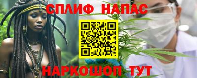 индика Кингисепп
