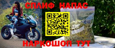 индика Кингисепп