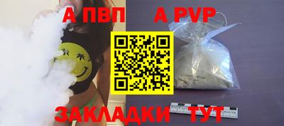 индика Кингисепп