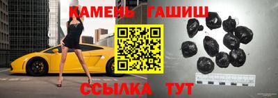 индика Кингисепп