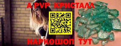 индика Кингисепп